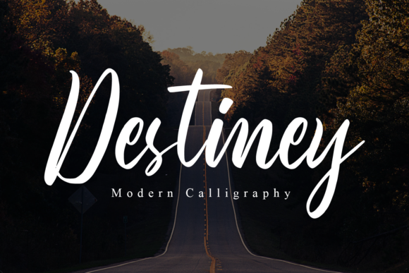 Destiney: A Premium Script Font for Business Branding