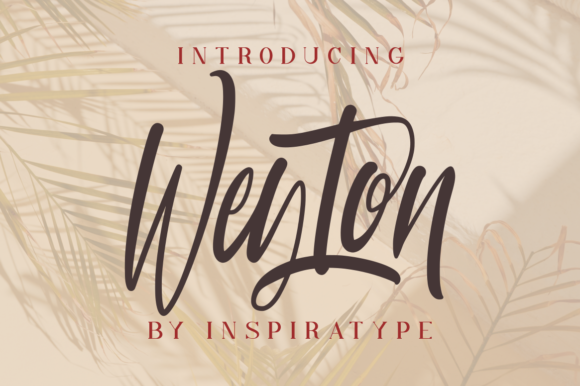 Weyton: A Tall, Quirky Script Font for Brand Identity